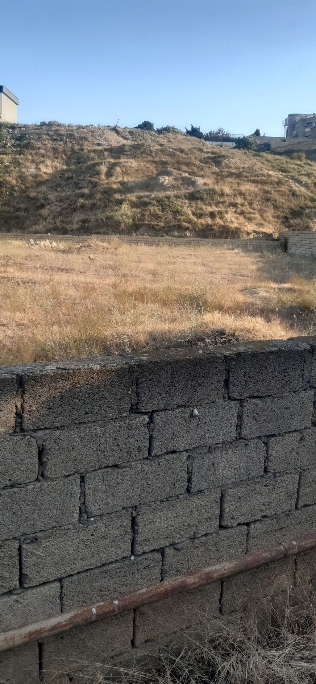 Tikinti