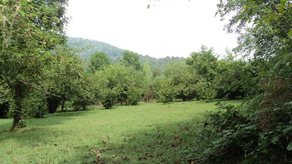 17 sot, Tikinti, Mülkiyyətçi, Kupça (Çıxarış)