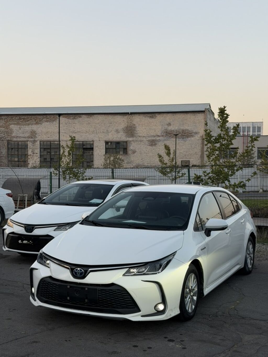 Toyota Corolla: 2023 г., 1.8 л, Вариатор, Гибрид, Седан: фото 1