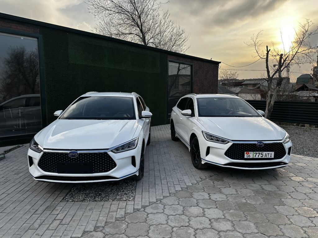 BYD — салон автомобиля (интерьер, комплектация) - Цветовая схема: фото 5