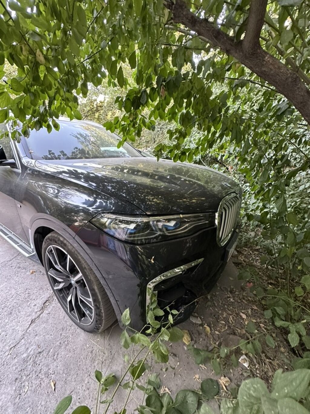 BMW X7: 2020 г., 3 л, Автомат, Бензин, Кроссовер: фото 3
