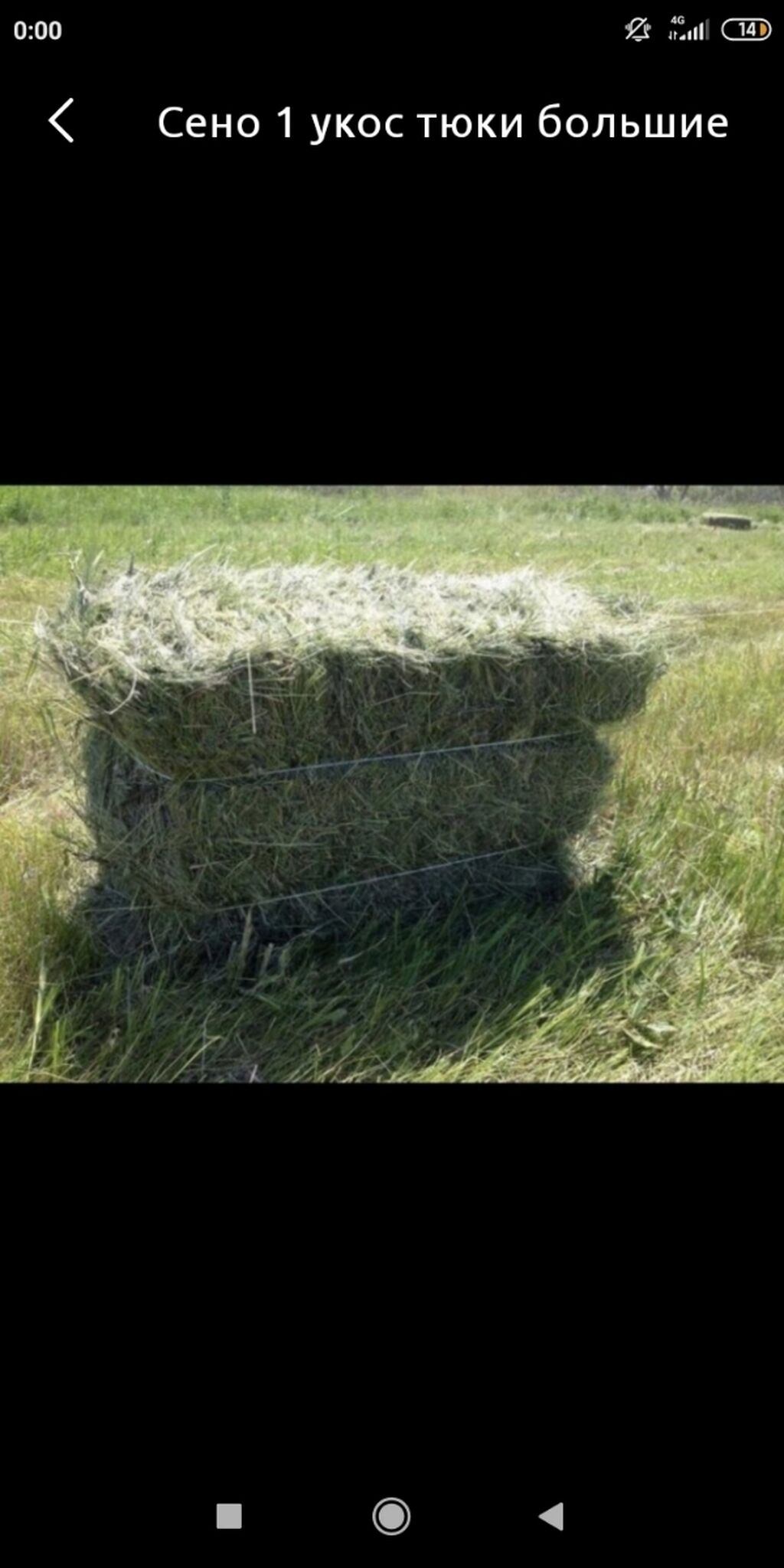 Купить Тюки Сена В Волгоградской Области