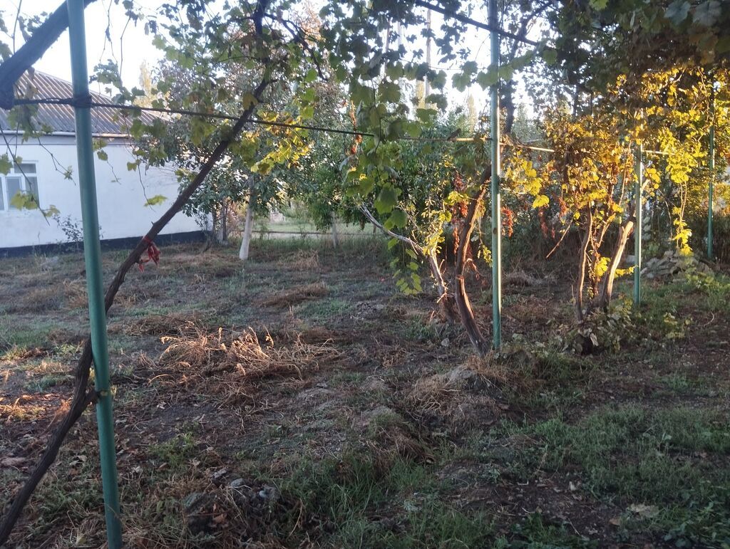 Xaçmaz, 663 kv. m, 4 otaqlı, Qaz, İşıq, Su