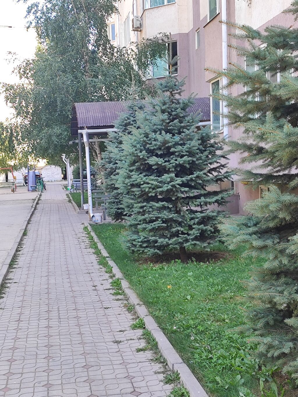 1 комната, 43 м², Тунгуч мкр Индивидуалка, 6 этаж, Требуется ремонт: фото 2