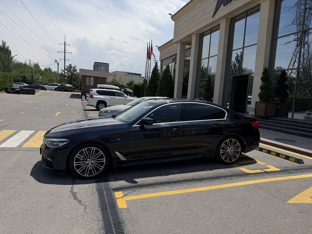 BMW 5 series: 2019 г., 2 л, Автомат: фото 3
