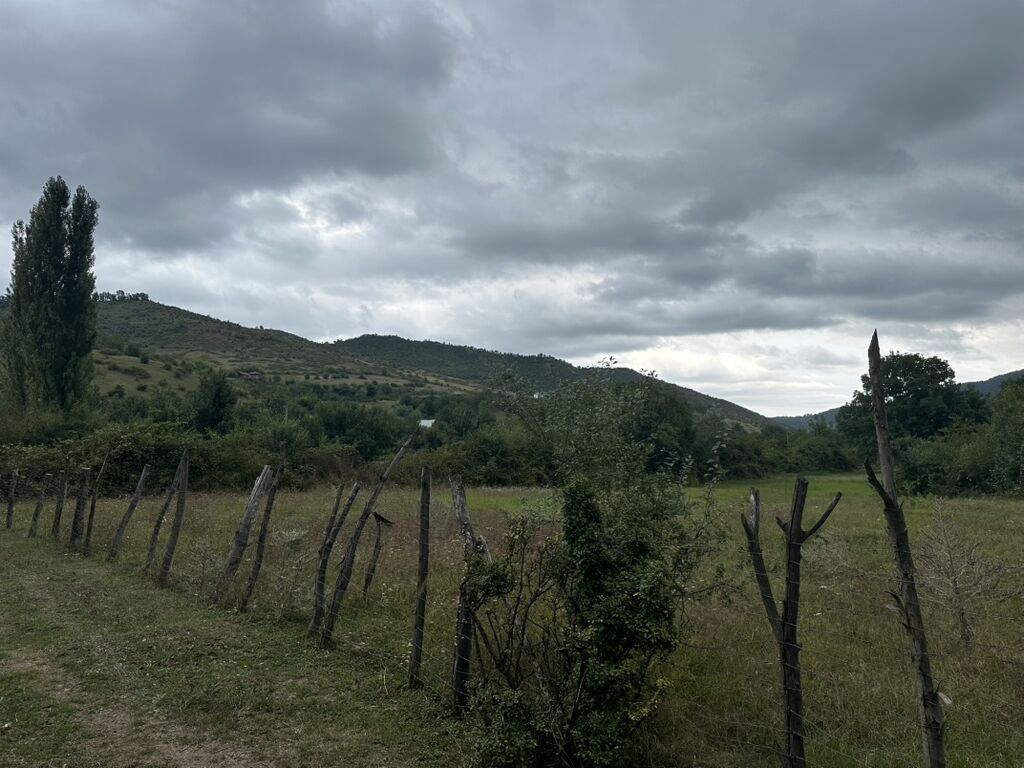 28 sot, Biznes üçün, Mülkiyyətçi, Kupça (Çıxarış)