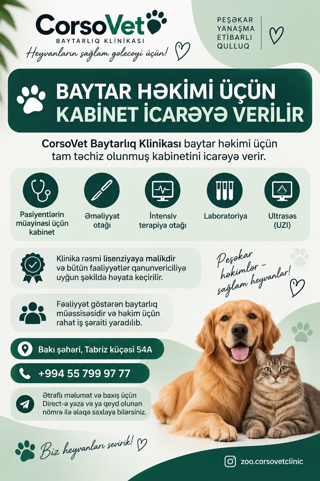🐾 BAYTAR HƏKİMİ ÜÇÜN KABİNET İCARƏYƏ VERİLİR CorsoVet Baytarlıq