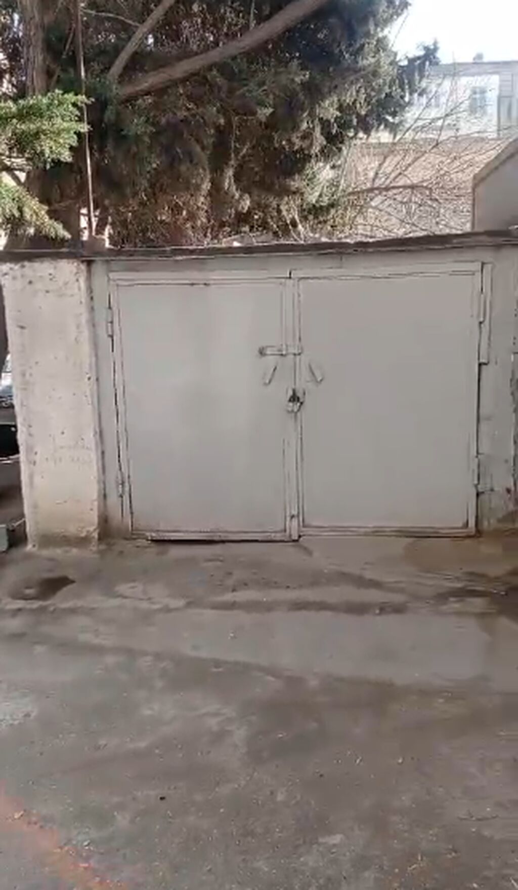 QARAJ ELMLƏRDƏ UNKLİNİKA NİN HƏYƏTİNDƏ QARAJ 150 MANAT
