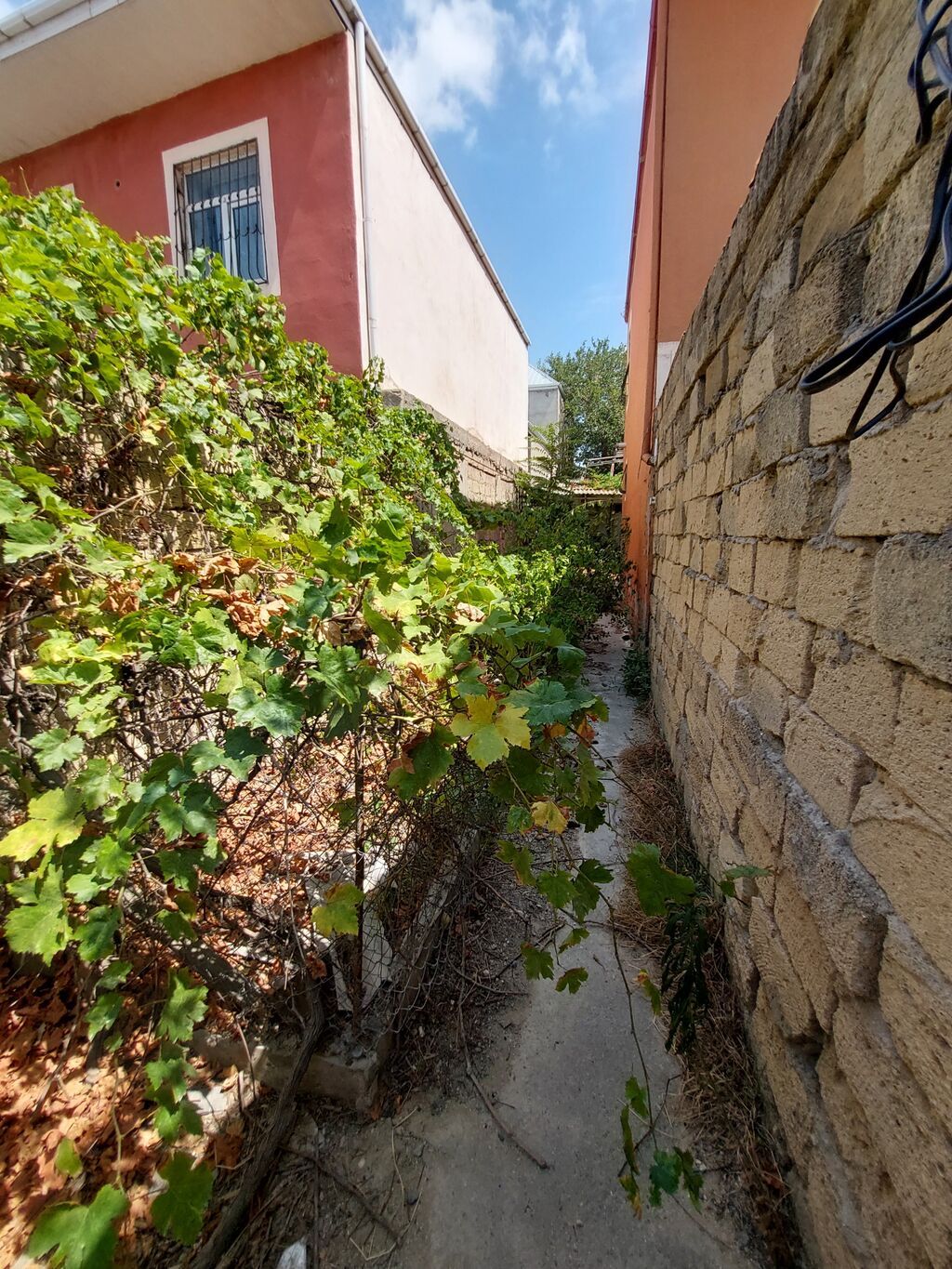 2 sot, Tikinti, Mülkiyyətçi, Kupça (Çıxarış)