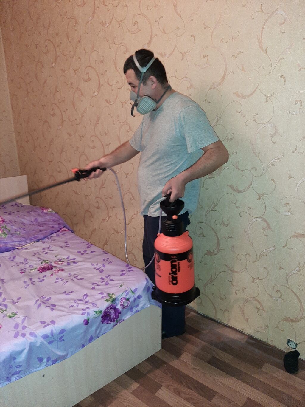 Профессиональная дезинсекция помещений от тараканов, клопов, муравьёв: фото 3