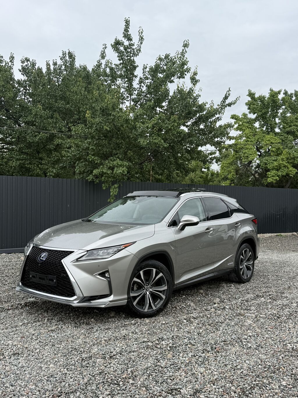 Lexus RX: 2019 г., 3.5 л, Вариатор, Гибрид, Кроссовер: фото 2