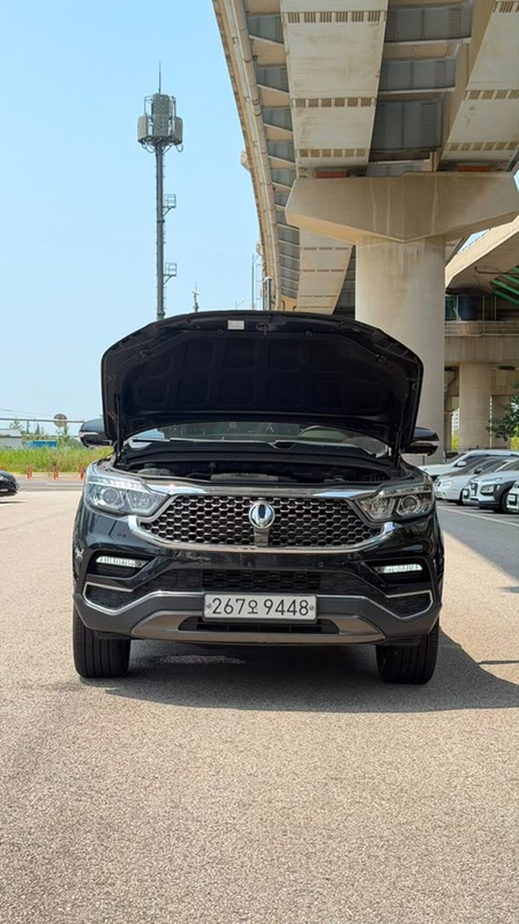 Ssangyong Rexton: 2020 г., 2.2 л, Автомат, Дизель, Внедорожник: фото 2