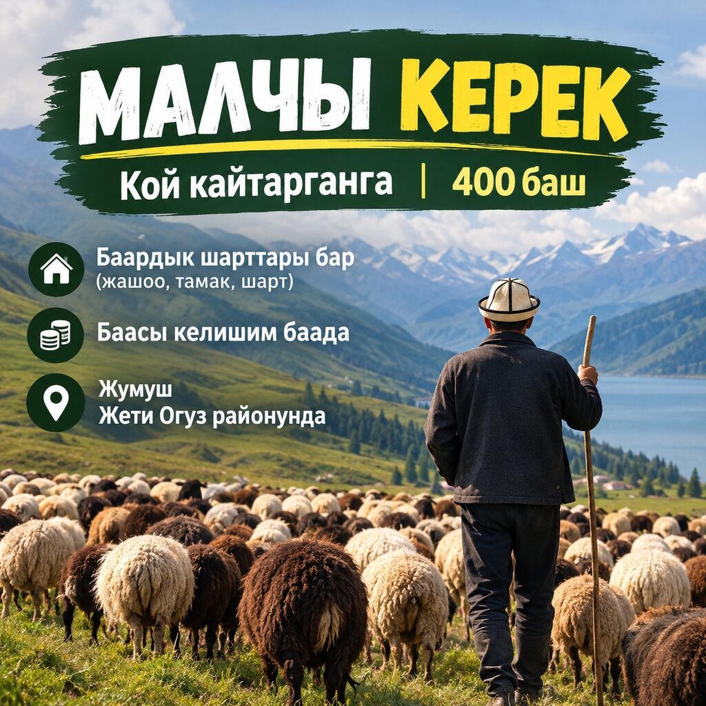 Требуется скотник (чабан) на 400 голов