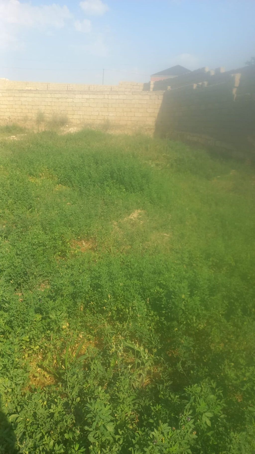 4 sot, Tikinti, Mülkiyyətçi, Kupça (Çıxarış)