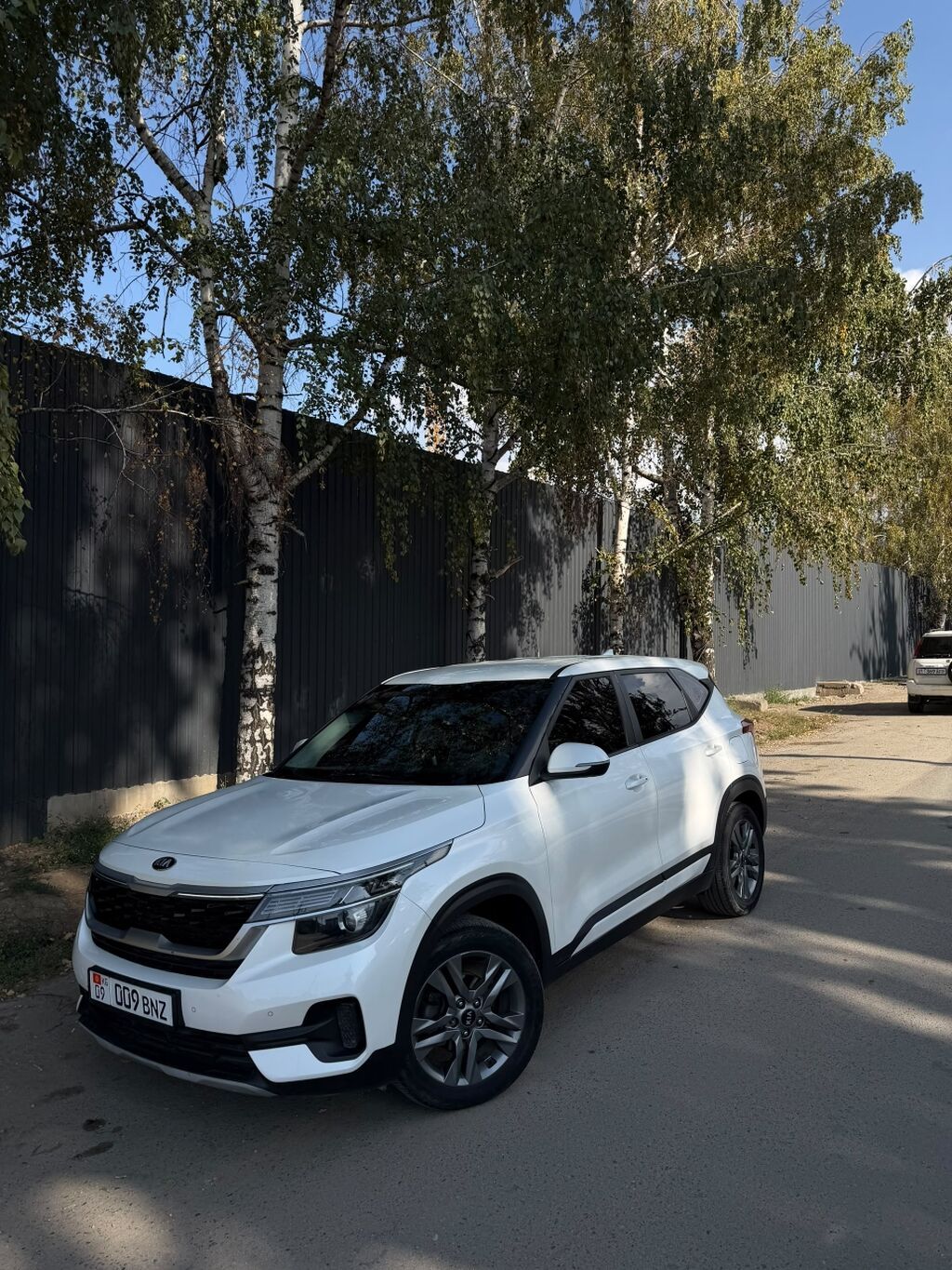 Kia Seltos: 2020 г., 1.6 л, Автомат, Дизель, Кроссовер: фото 1