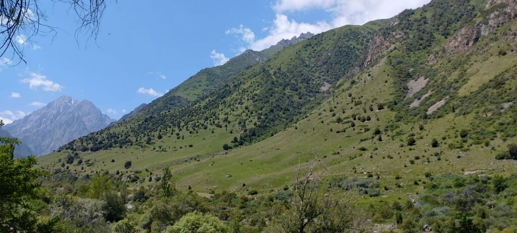 Предлагаю свою кандидатуру в качестве гида-переводчика. Готова к — фото 4