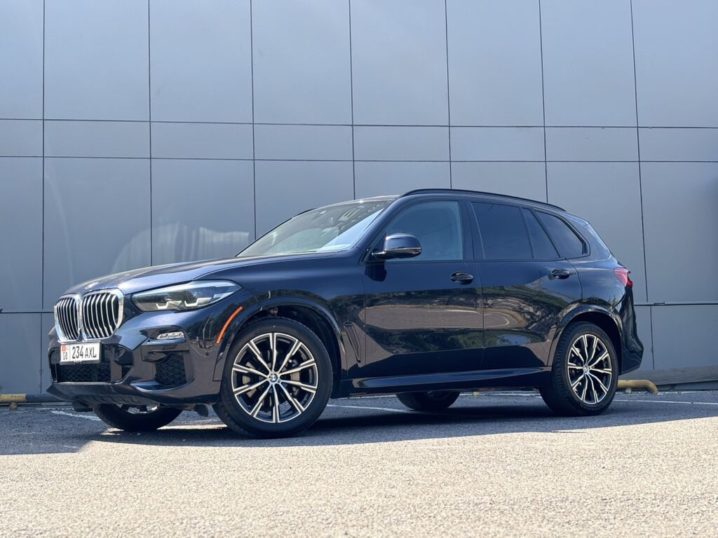 BMW X5: 2019 г., 3 л, Автомат, Бензин, Кроссовер: фото 1