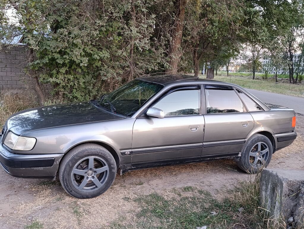 Audi 100: 1993 г., 2.8 л, Механика, Бензин, Седан: фото 4