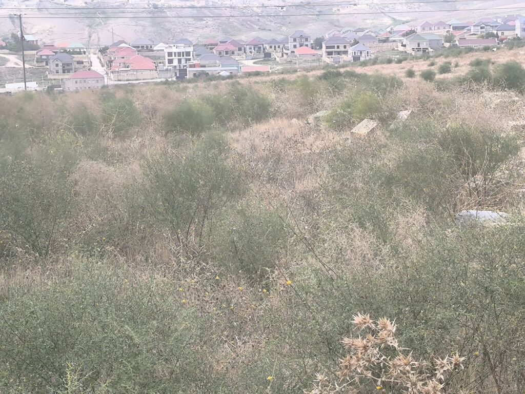 16 sot, Tikinti, Bələdiyyə