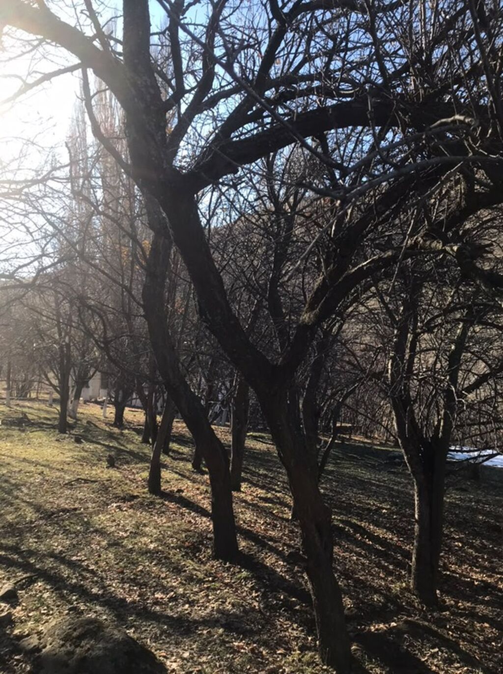 Продается дачный участок площадью 4.5 сотки в с. Уч-Эмчек, КСТ: фото 5