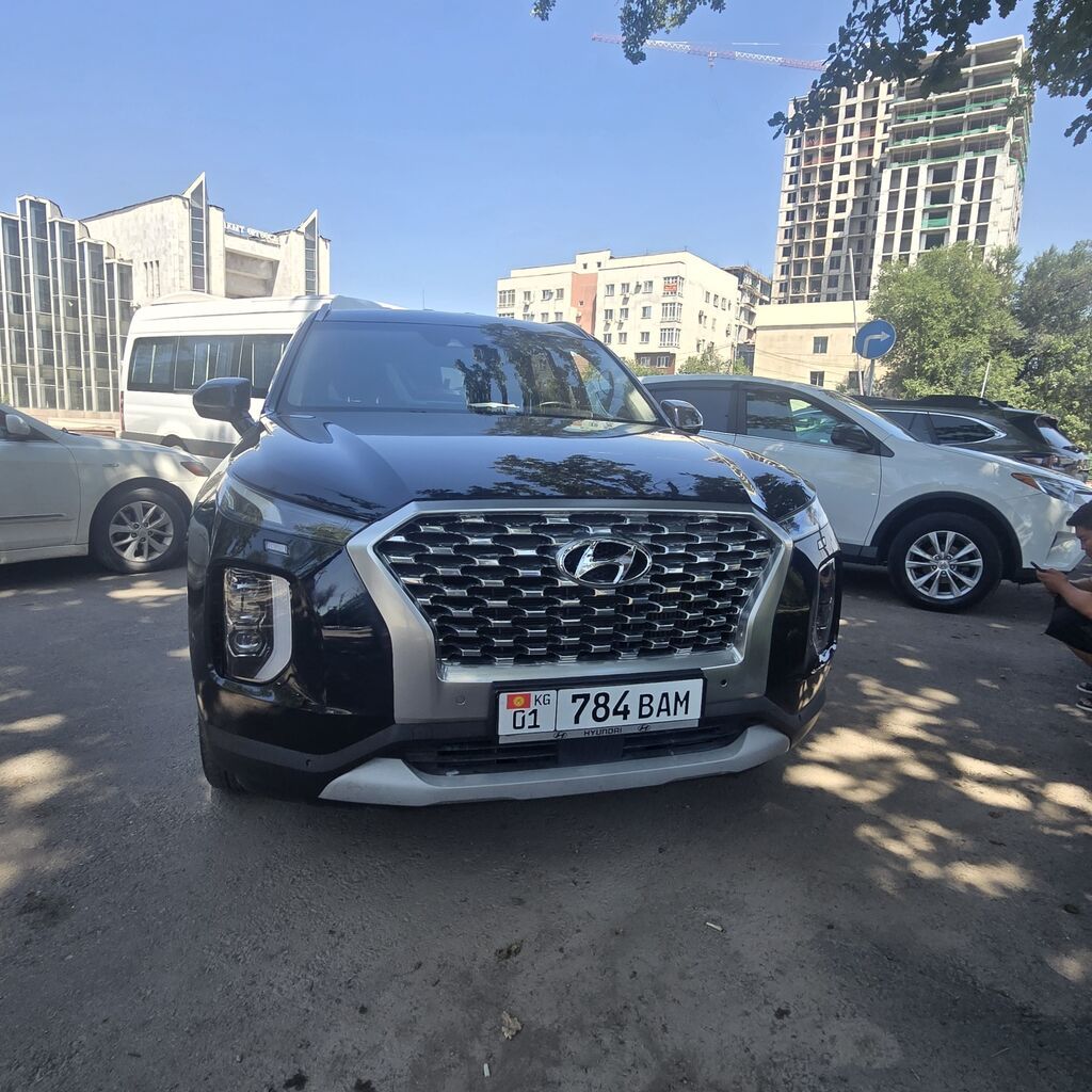 Hyundai Palisade: 2020 г., Кроссовер: фото 6