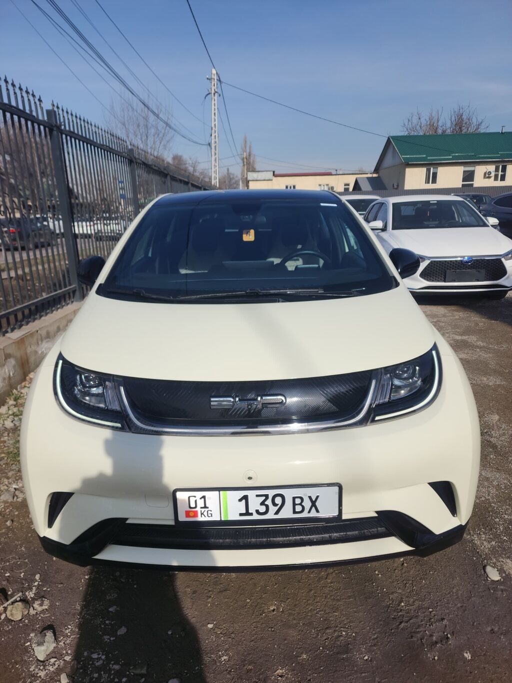 BYD Dolphin