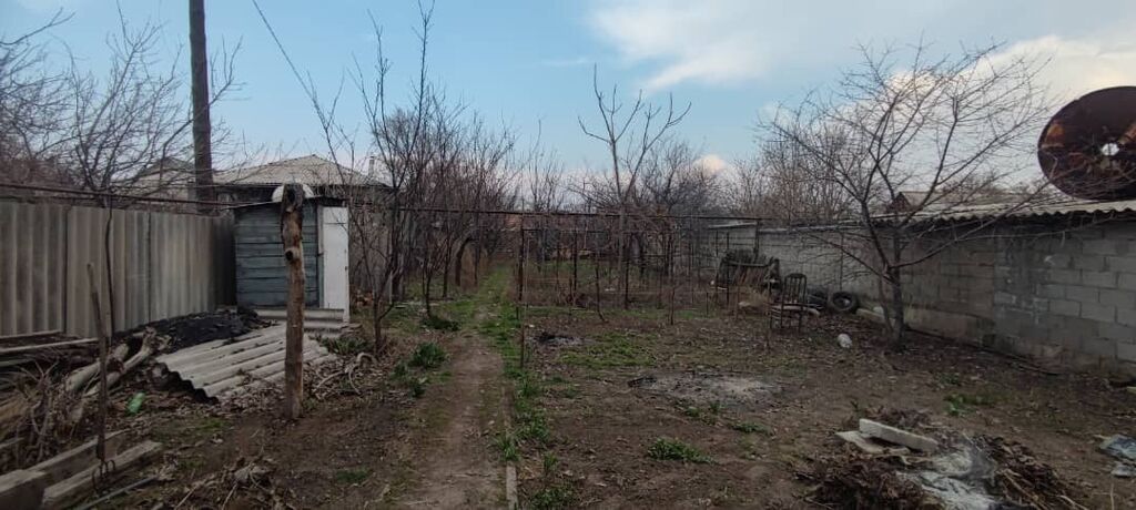 Продаётся жилой дом с большим участком и хозяйственными постройками: фото 2