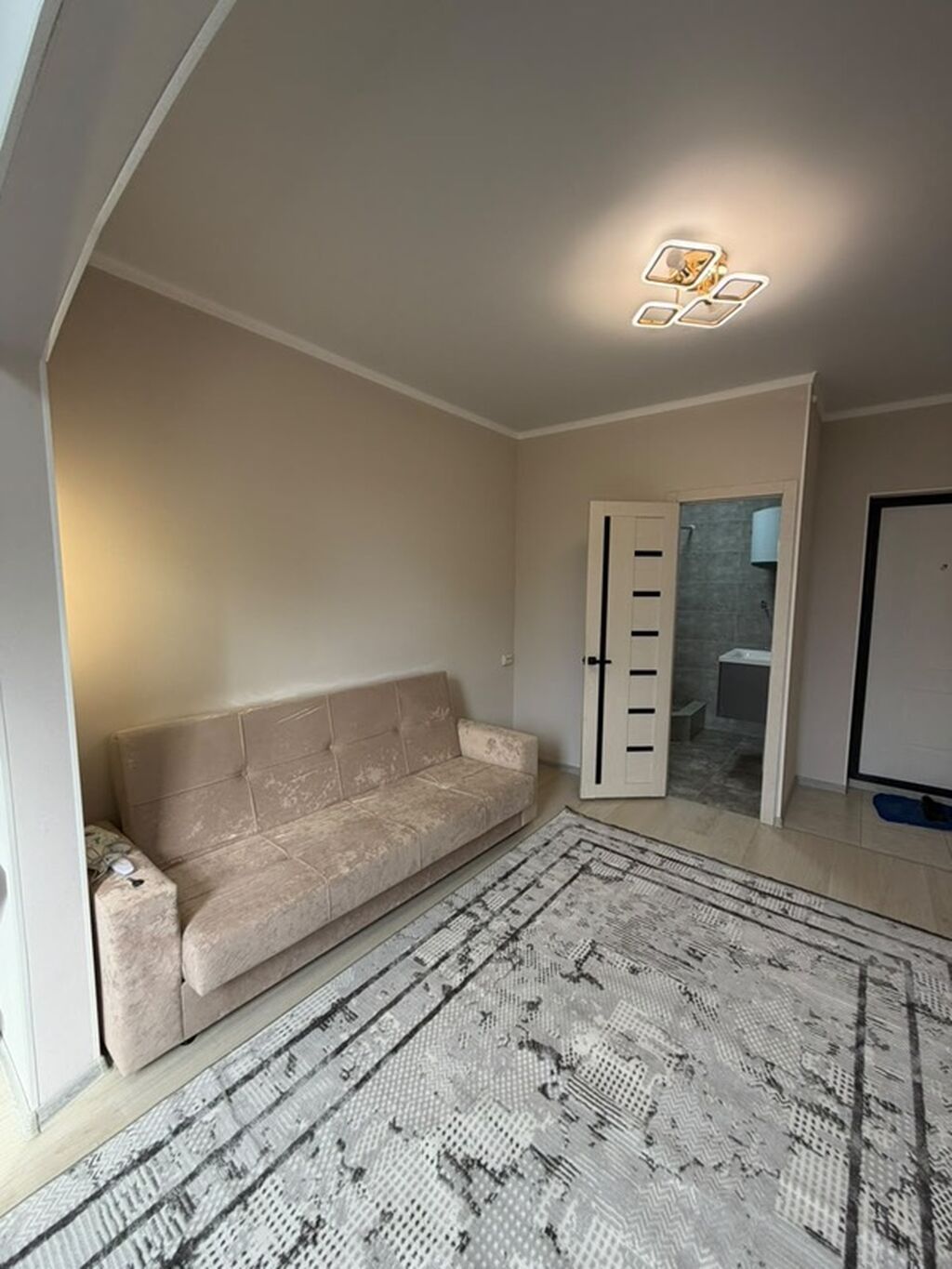1 комната, 20 м², 1 этаж, Косметический ремонт: фото 3