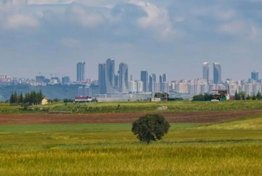 95 соток, Для бизнеса, Красная книга: фото 3