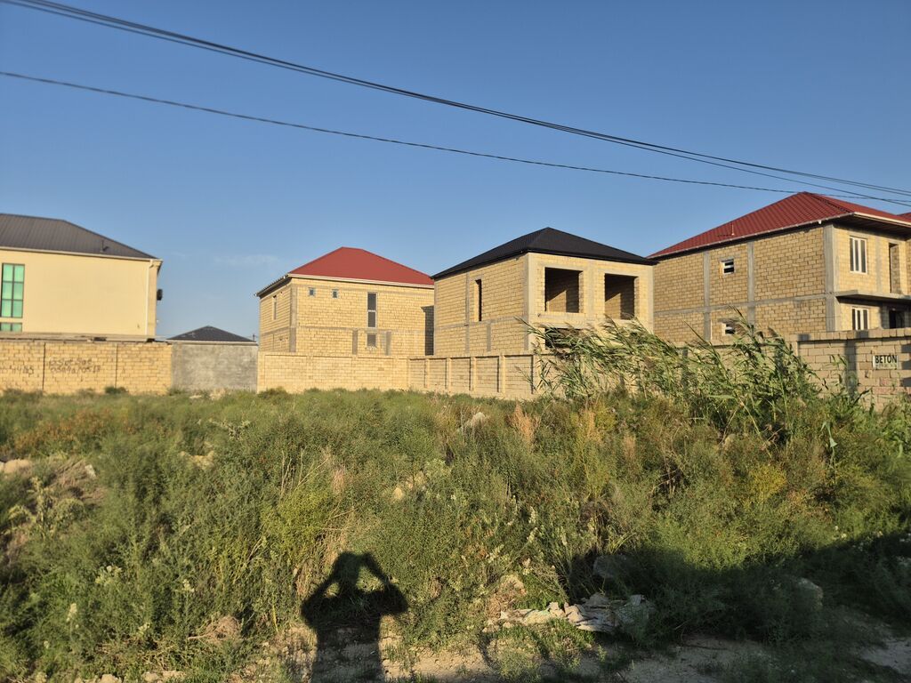 Tikinti