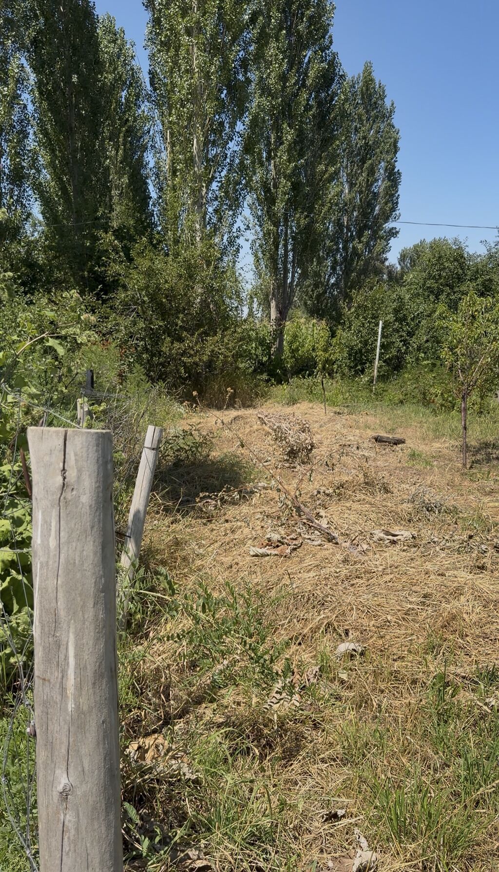 5 соток, Для строительства, Красная книга, Тех паспорт: фото 2