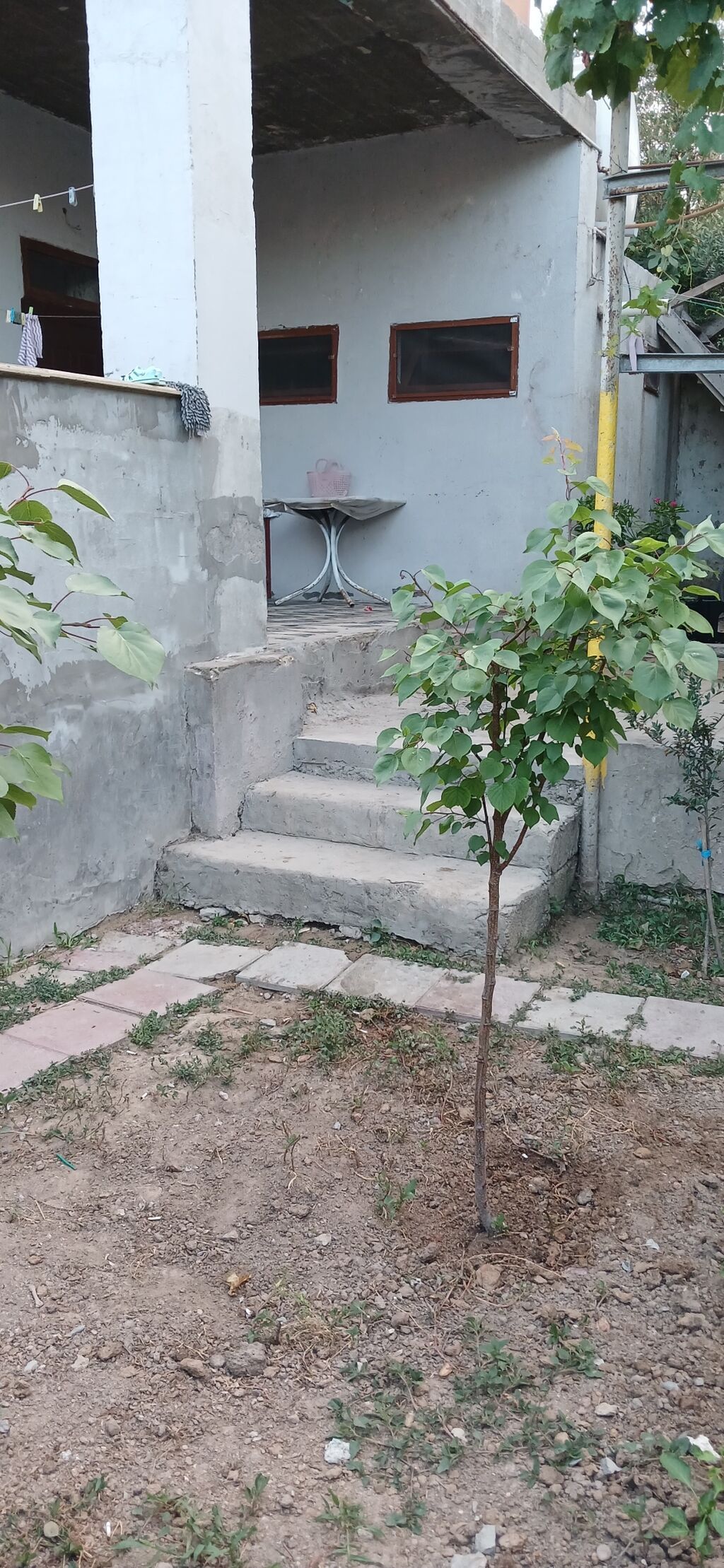 4 otaqlı, 130 kv. m, Kredit yoxdur, Yeni təmirli