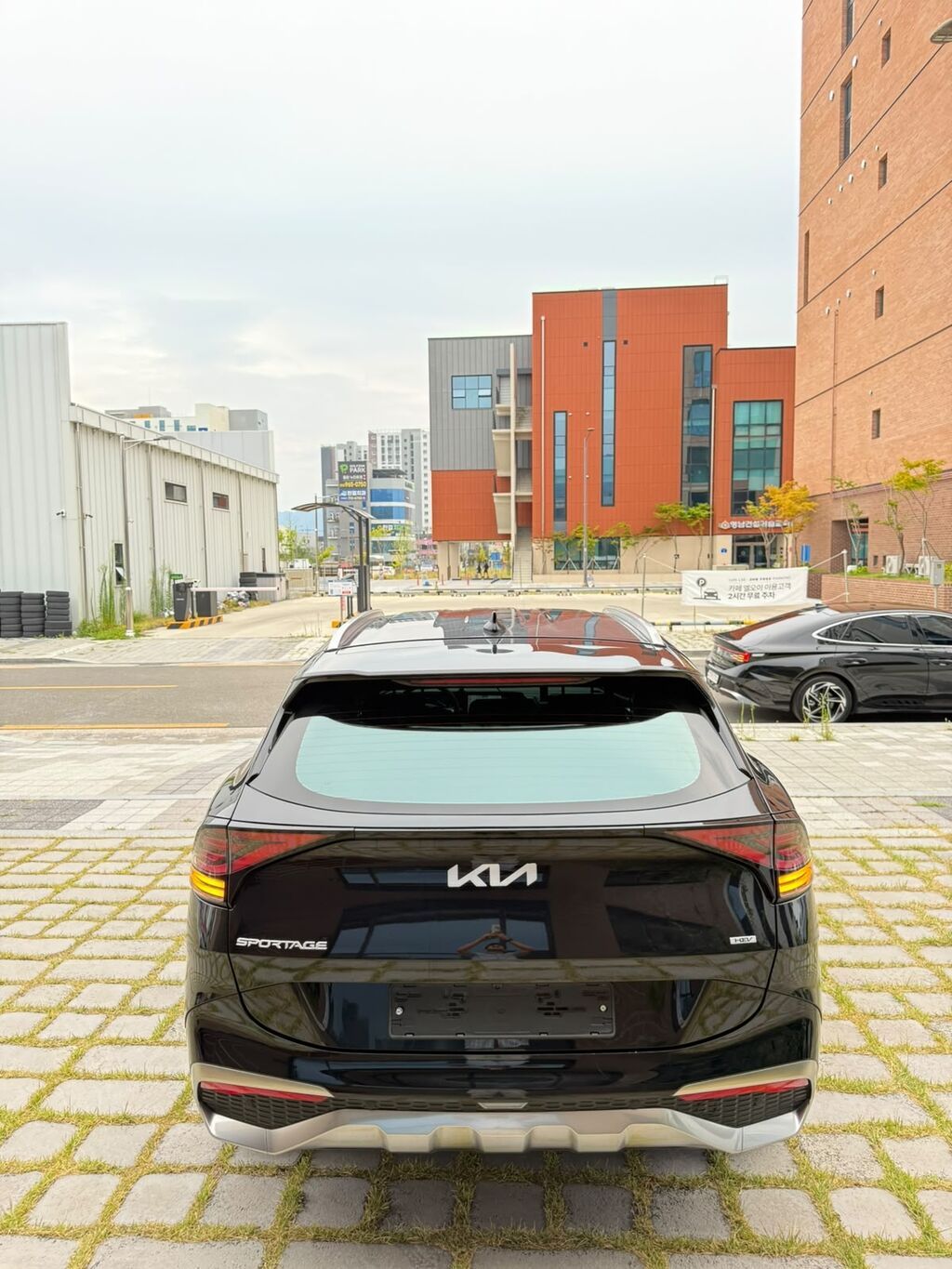 Kia Sportage: 2023 г., 1.6 л, Автомат, Гибрид, Кроссовер: фото 4