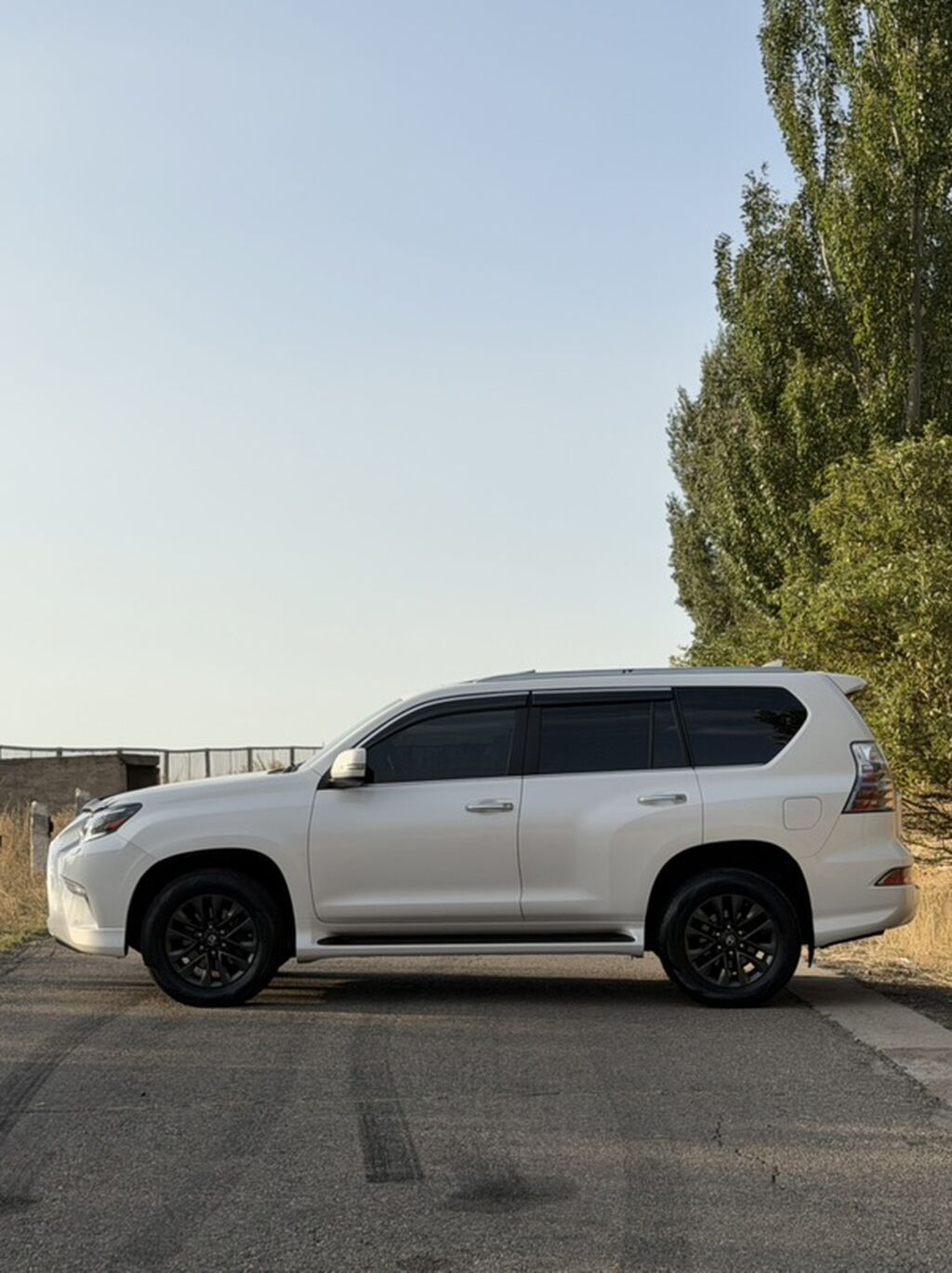 Lexus GX: 2020 г., 4.6 л, Автомат, Бензин, Внедорожник: фото 7