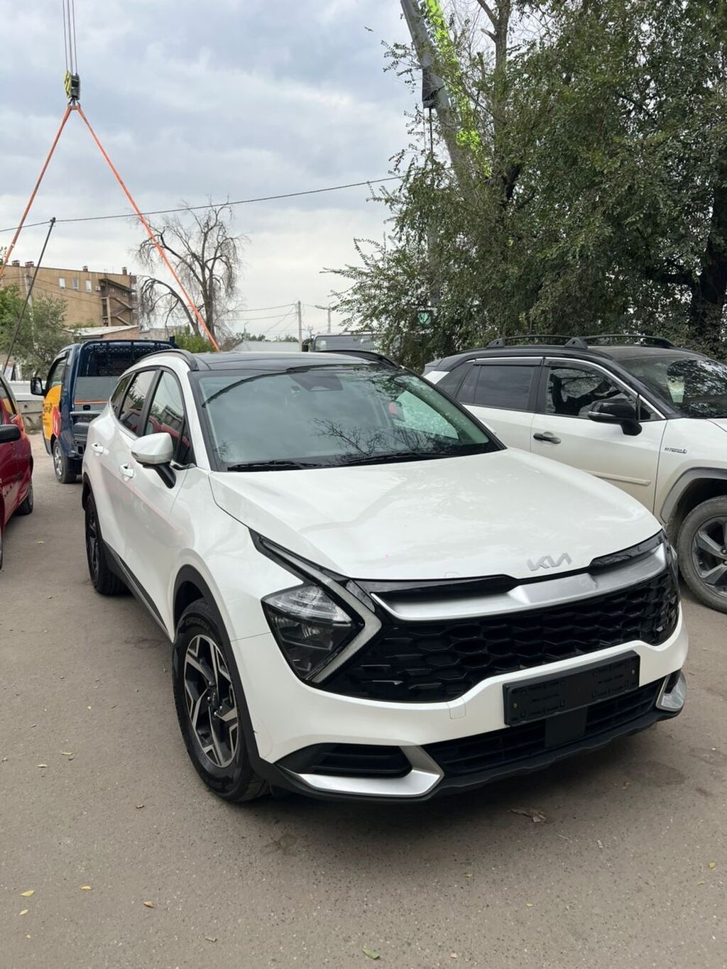 Kia Sportage: 2023 г., 1.6 л, Автомат, Бензин, Кроссовер: фото 5