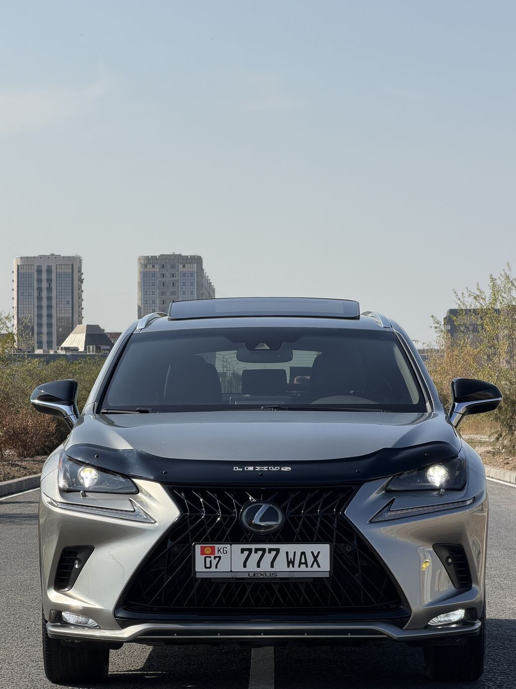 Lexus NX: 2019 г., 2 л, Автомат, Бензин, Кроссовер: фото 3