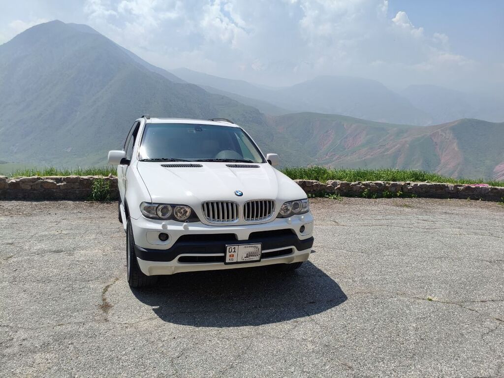 BMW X5: 2004 г., 3 л, Автомат, Бензин: фото 2
