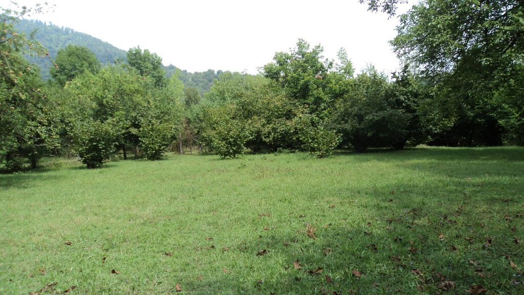 17 sot, Tikinti, Mülkiyyətçi, Kupça (Çıxarış)