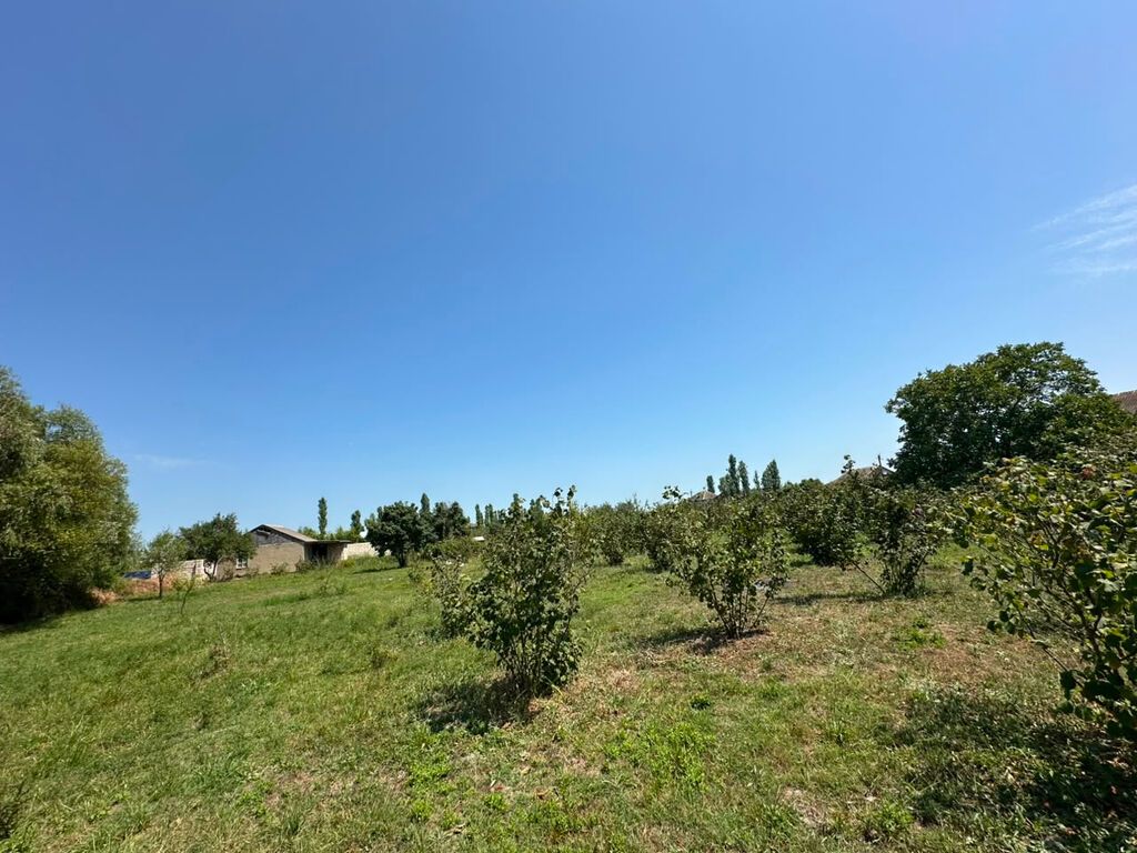 20 sot, Tikinti, Mülkiyyətçi, Kupça (Çıxarış)