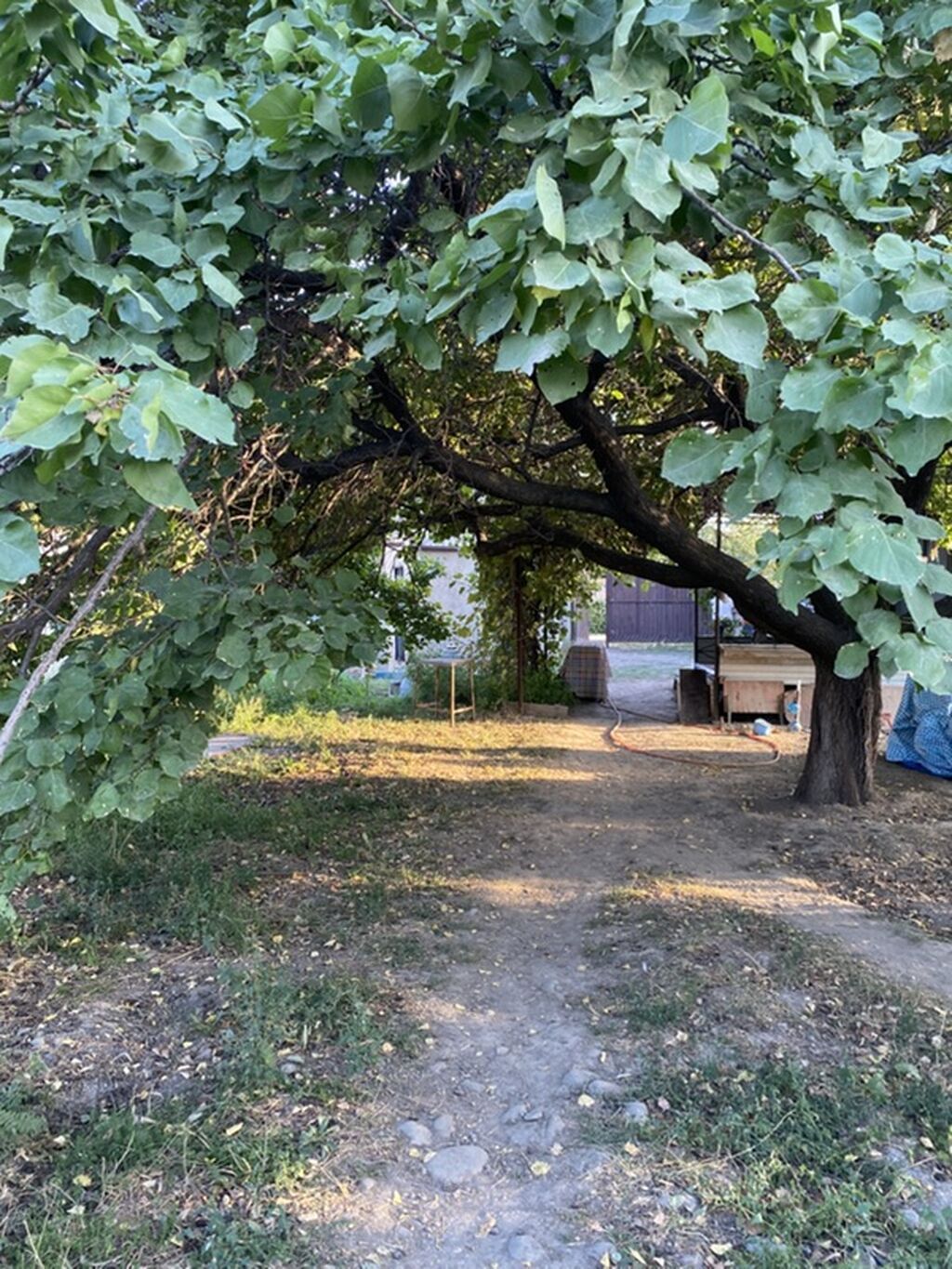 3 соток, Для бизнеса, Красная книга, Договор купли-продажи: фото 2