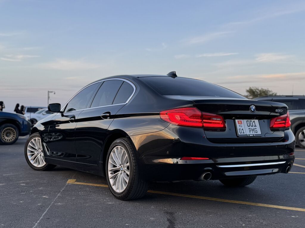 BMW 5 series: 2019 г., 2 л, Автомат, Бензин, Седан: фото 7