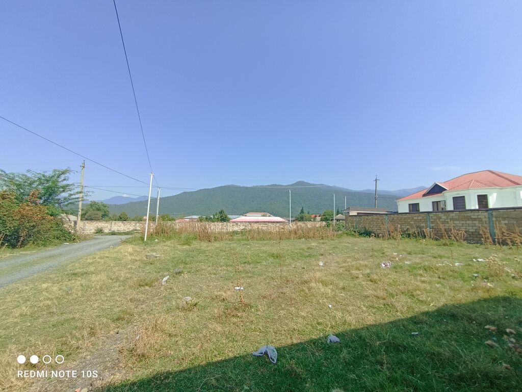 3 sot, Tikinti, Kupça (Çıxarış)