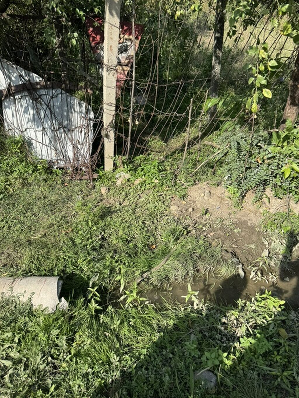 6 sot, Tikinti, Mülkiyyətçi, Kupça (Çıxarış)