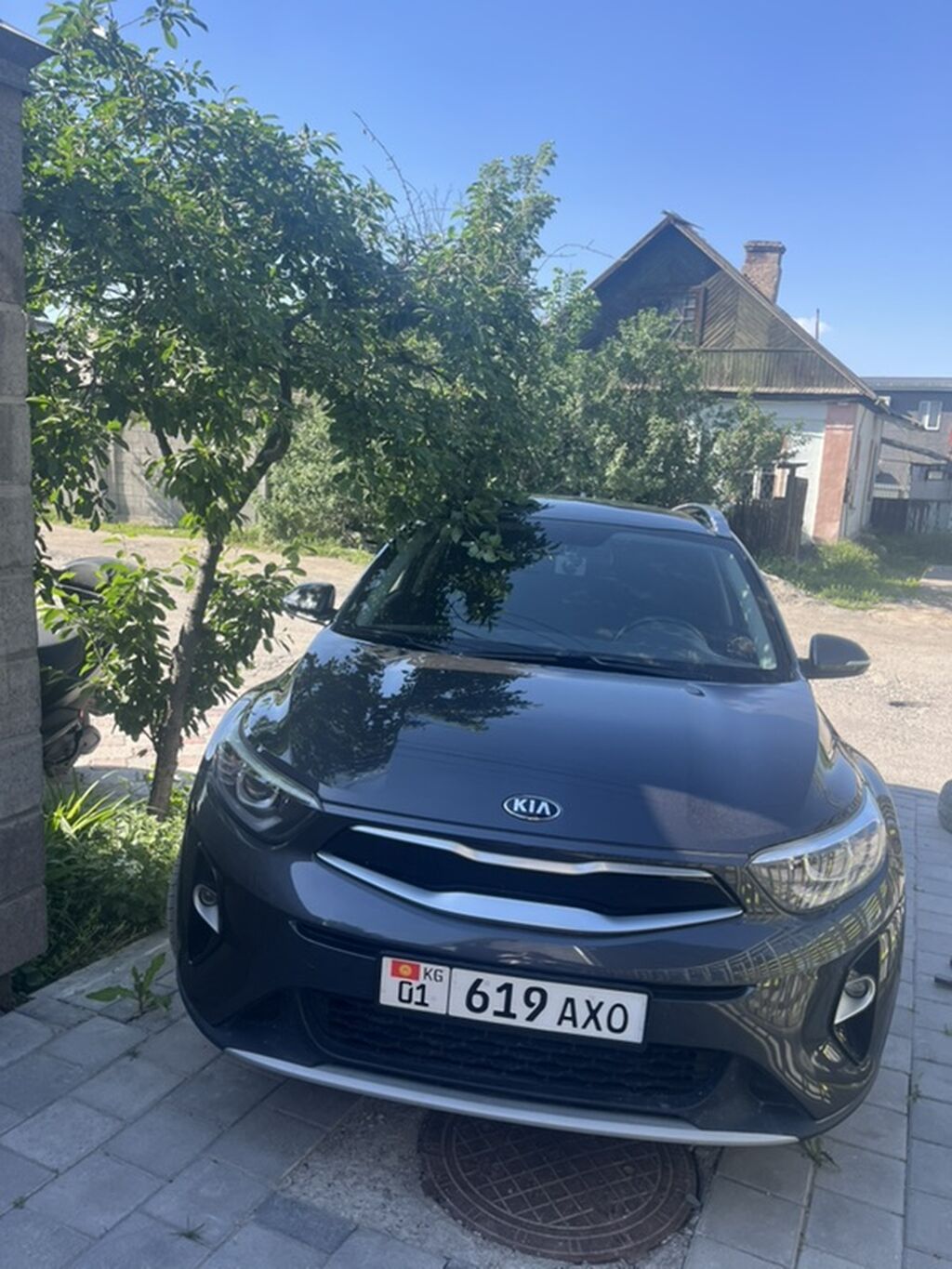 Kia Stonic: 2019 г., 1.6 л, Автомат, Бензин: фото 3