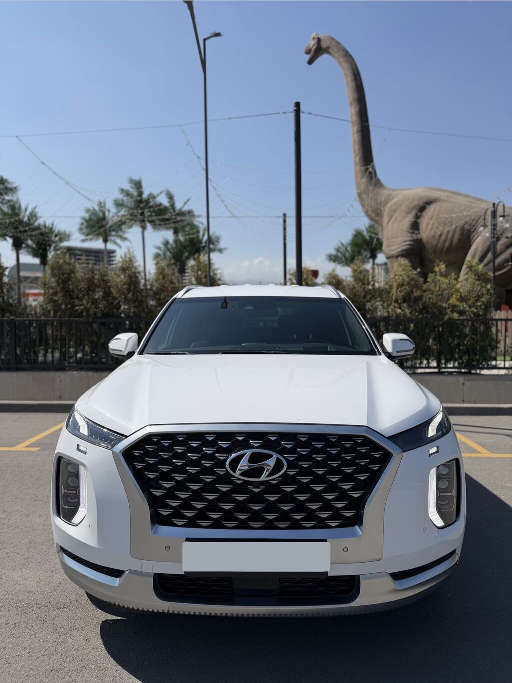 Hyundai Palisade: 2019 г., 2.2 л, Автомат, Дизель, Внедорожник: фото 2
