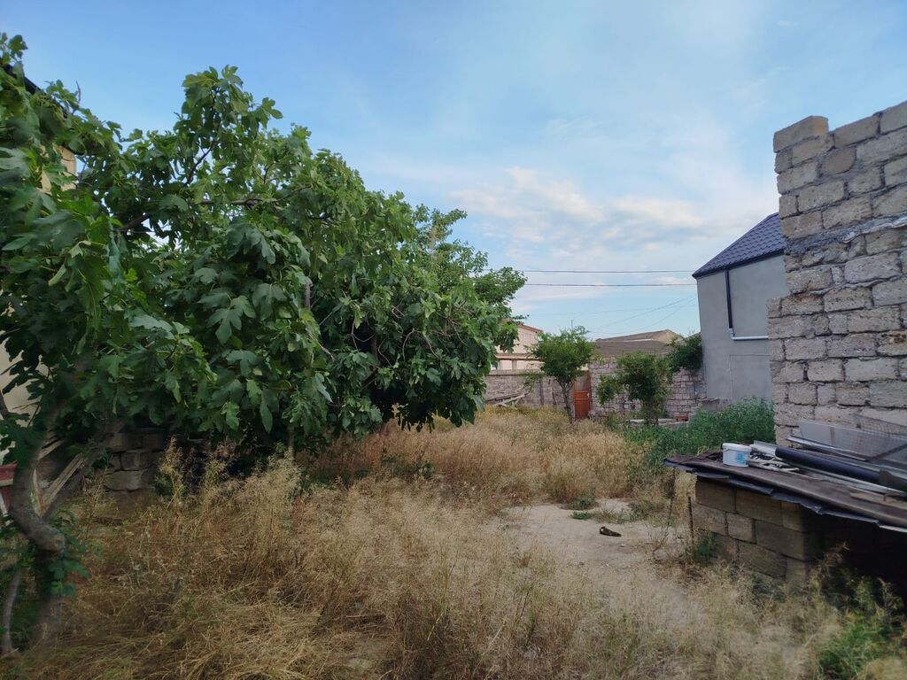 4 sot, Tikinti, Mülkiyyətçi, Kupça (Çıxarış)