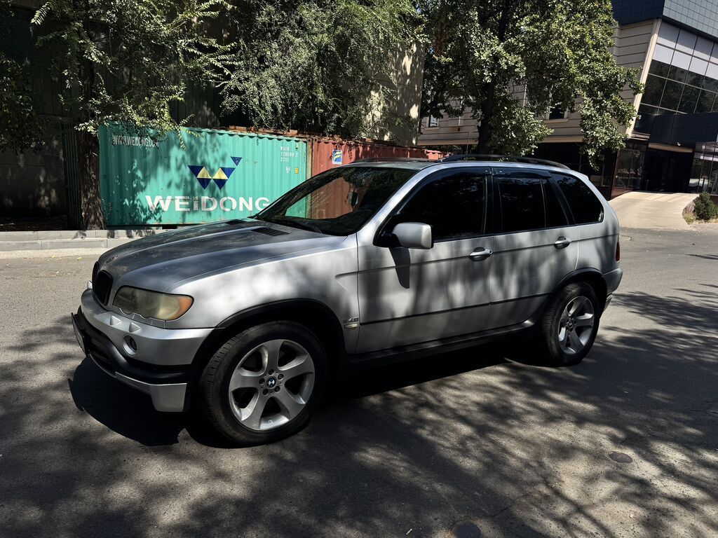 BMW X5: 2002 г., 4.6 л, Автомат, Бензин, Внедорожник: фото 3