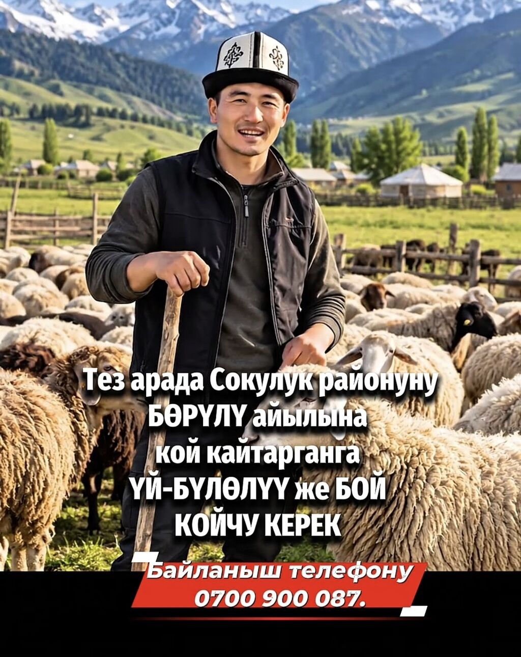 Требуется пастух в село Бёрюлю (Сокулук)