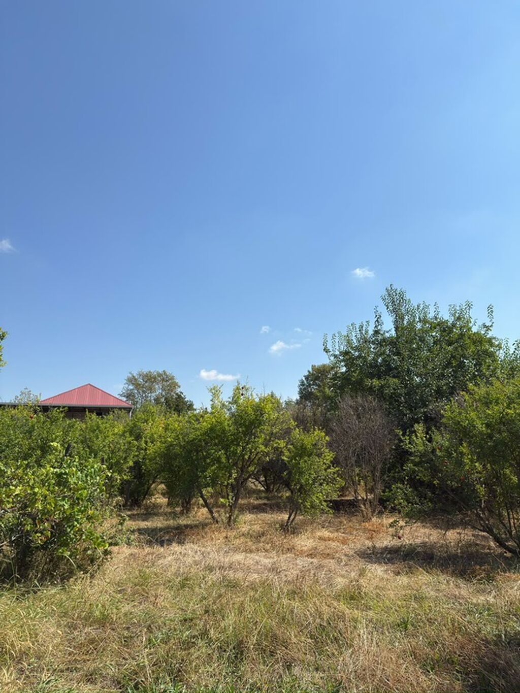 3 otaqlı, 72 kv. m