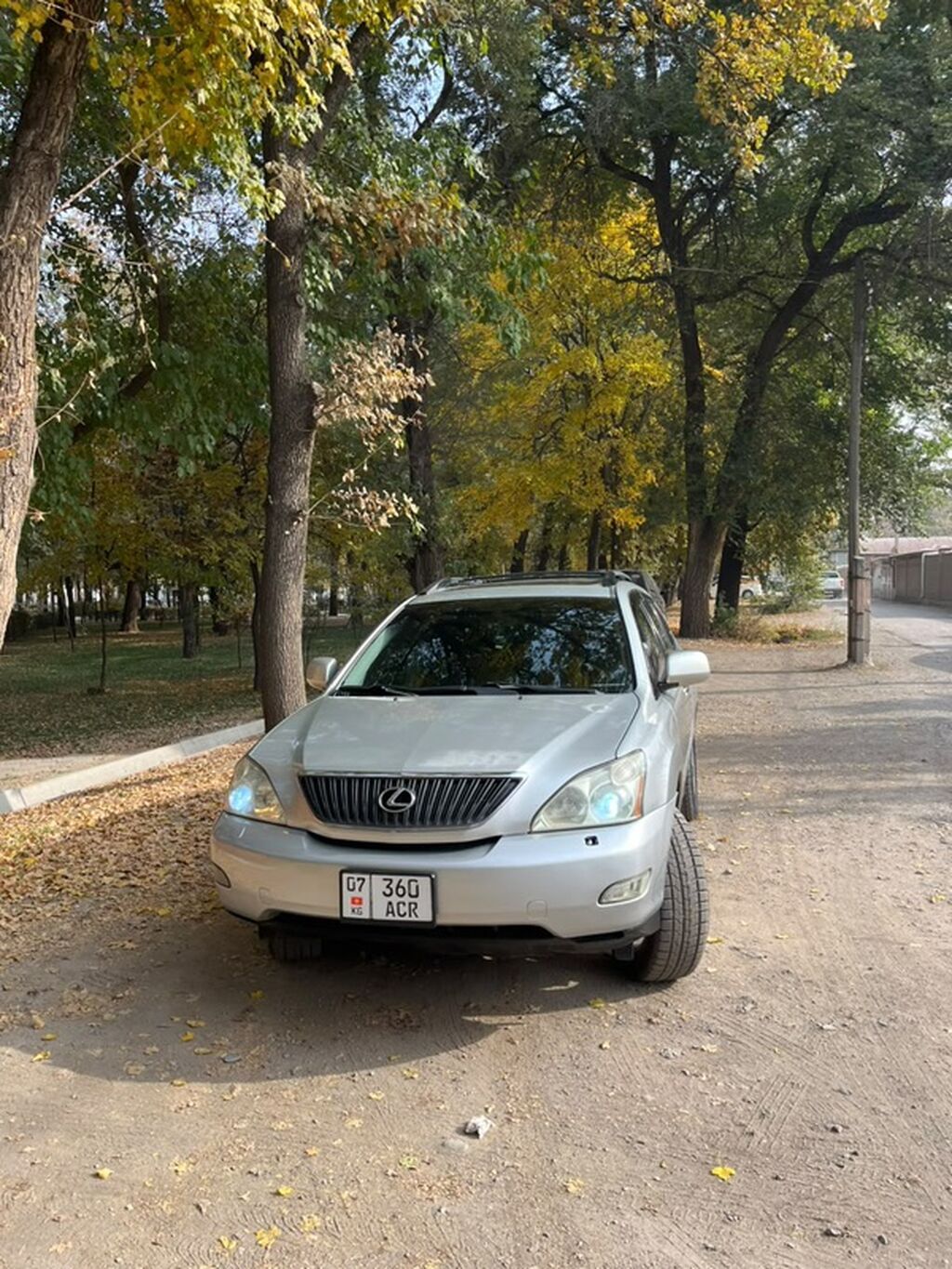 Lexus RX: 2005 г., 3.3 л, Автомат, Газ, Кроссовер: фото 1